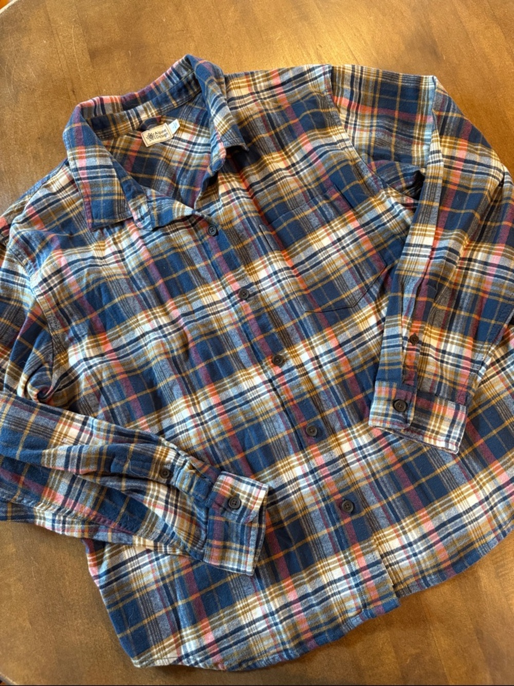 Alpine Design Blue Plaid Casual Button-Down Shirt